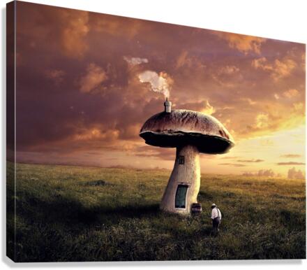 3081 Canvas Print