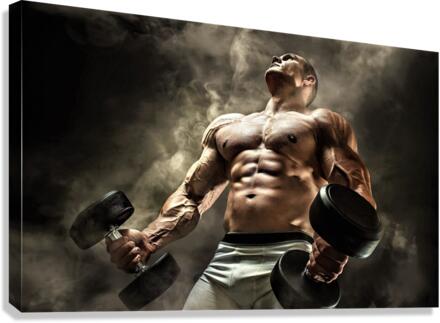 3108 Canvas Print
