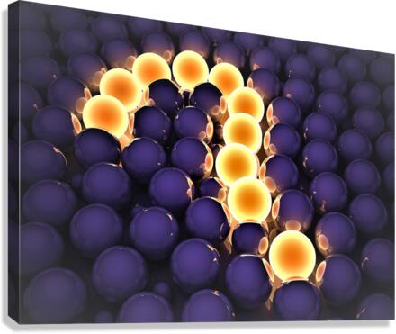3109 Canvas Print