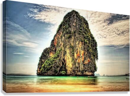 3140 Canvas Print