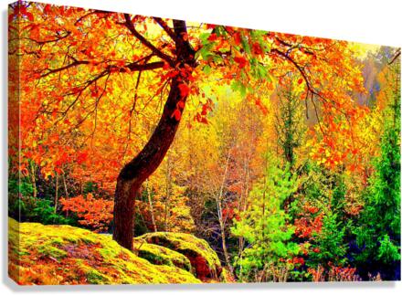 3153 Canvas Print