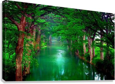 3155 Canvas Print