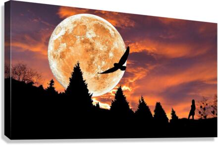3171 Canvas Print