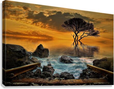 3190 Canvas Print