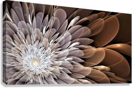 3206 Canvas Print