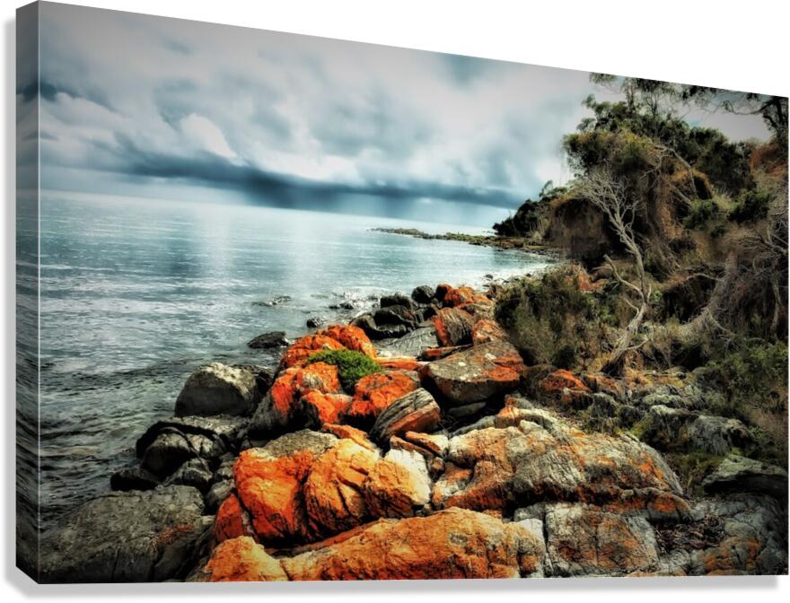 3207 Canvas Print