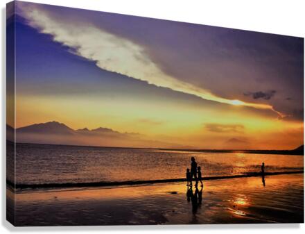 3219 Canvas Print