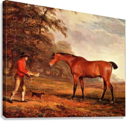 3230 Canvas Print