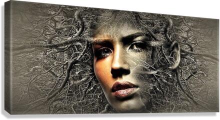 3231 Canvas Print