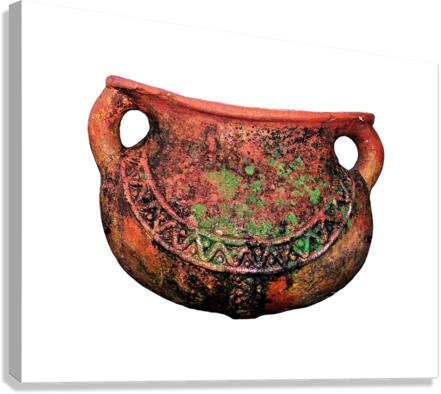 3242 Canvas Print