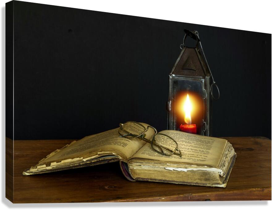 3252 Canvas Print