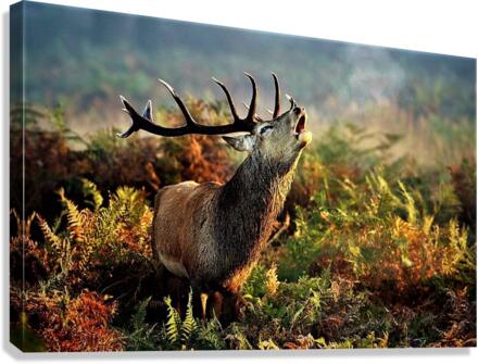 3254 Canvas Print