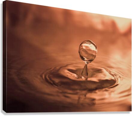 3258 Canvas Print