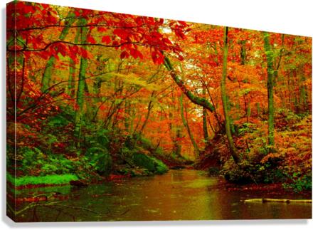 3285 Canvas Print