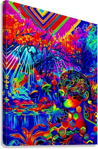 3300 Canvas Print