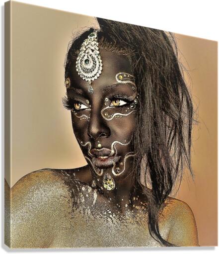 3302 Canvas Print