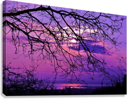 3311 Canvas Print