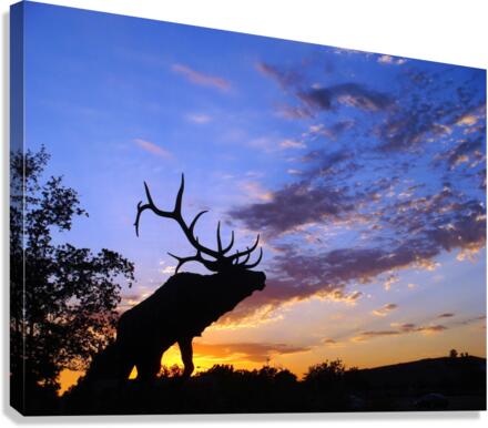 3327 Canvas Print
