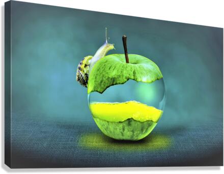 3328 Canvas Print