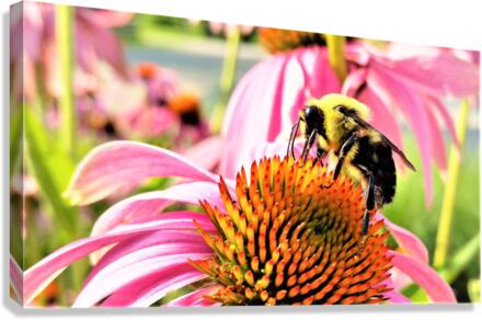 3329 Canvas Print