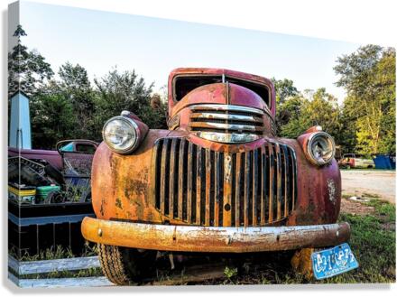 3332 Canvas Print
