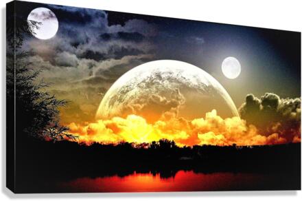 3336 Canvas Print