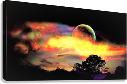 3338 Canvas Print