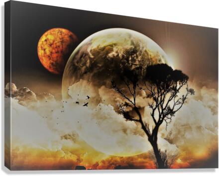 3339 Canvas Print