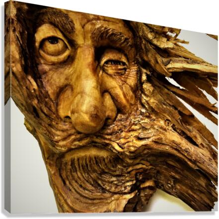 3342 Canvas Print