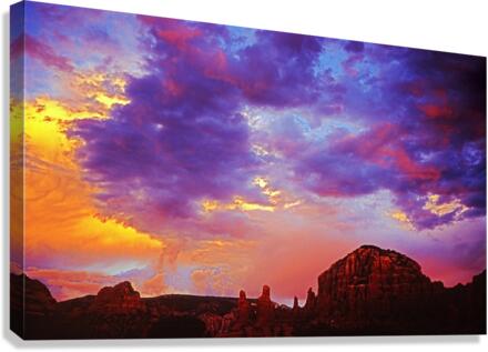 3347 Canvas Print