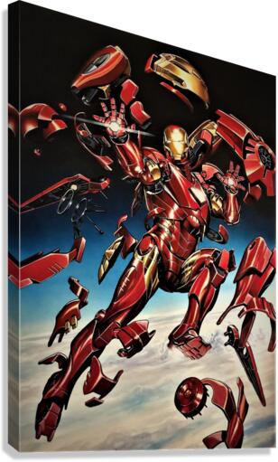 3365 Canvas Print