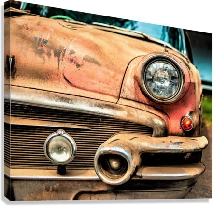 3378 Canvas Print
