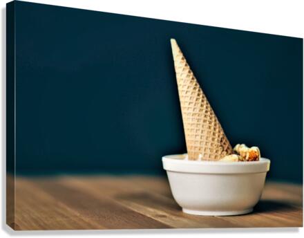 3384 Canvas Print