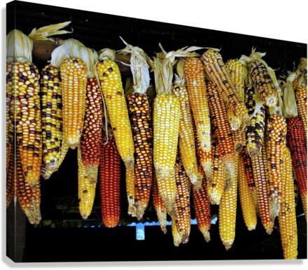 3385 Canvas Print