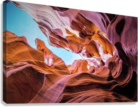 3386 Canvas Print