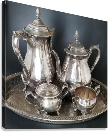 3392 Canvas Print