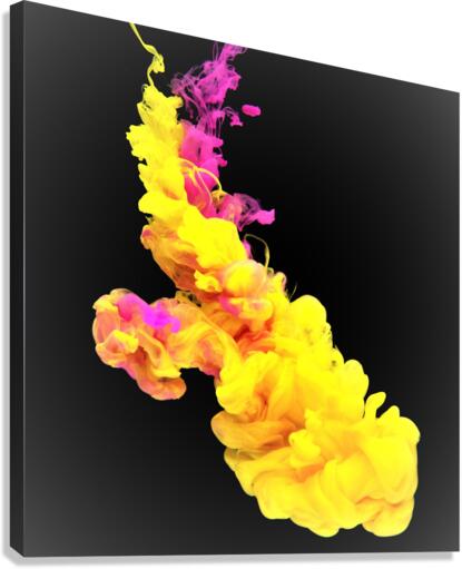 3411 Canvas Print
