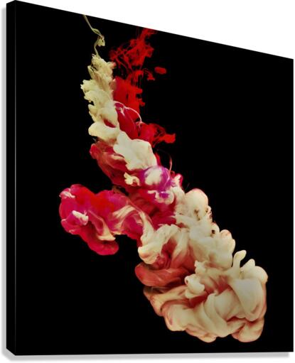 3418 Canvas Print