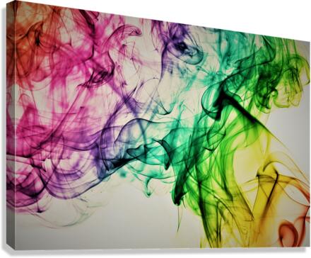 3420 Canvas Print