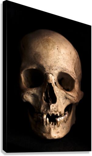 3421 Canvas Print