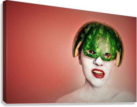 3427 Canvas Print