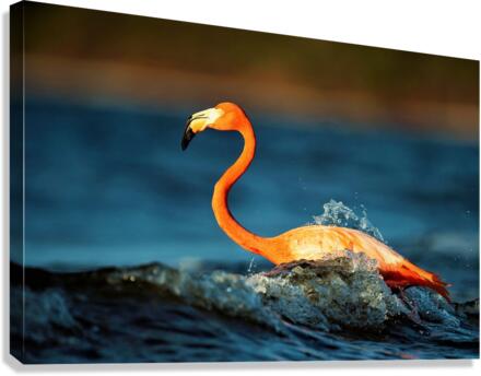 3431 Canvas Print