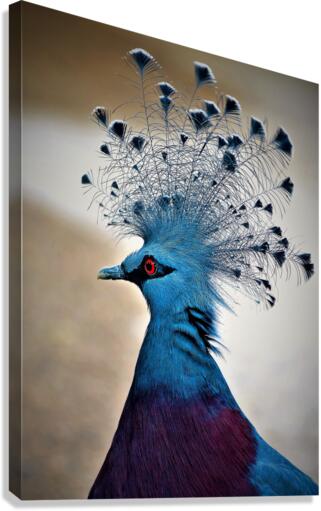 3434 Canvas Print