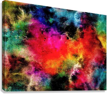 3448 Canvas Print