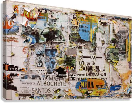 3449 Canvas Print