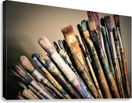 3451 Canvas Print