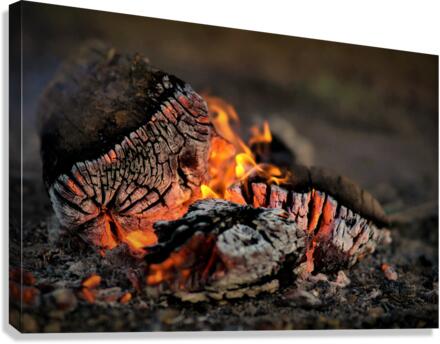 3452 Canvas Print