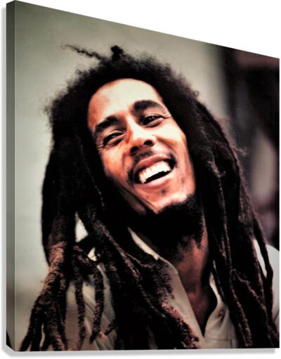 3456 Canvas Print