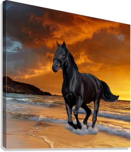 3462 Canvas Print