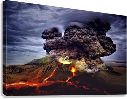 3463 Canvas Print